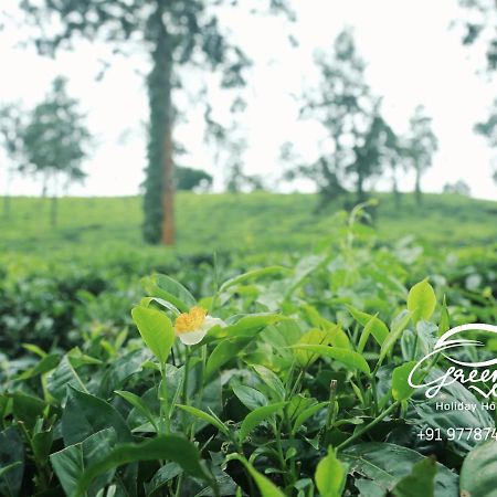 Green View Holiday Home ไวทีรี ภายนอก รูปภาพ