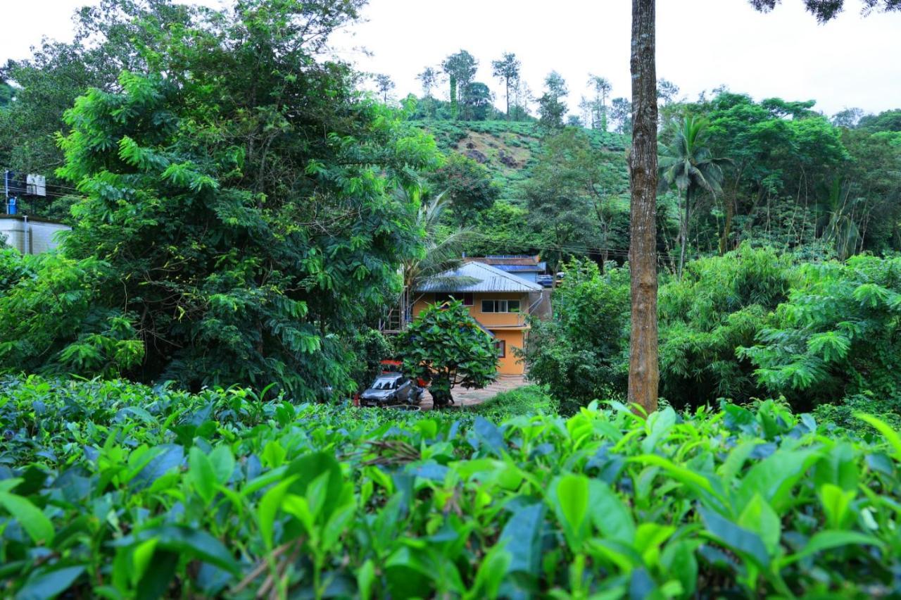 Green View Holiday Home ไวทีรี ภายนอก รูปภาพ
