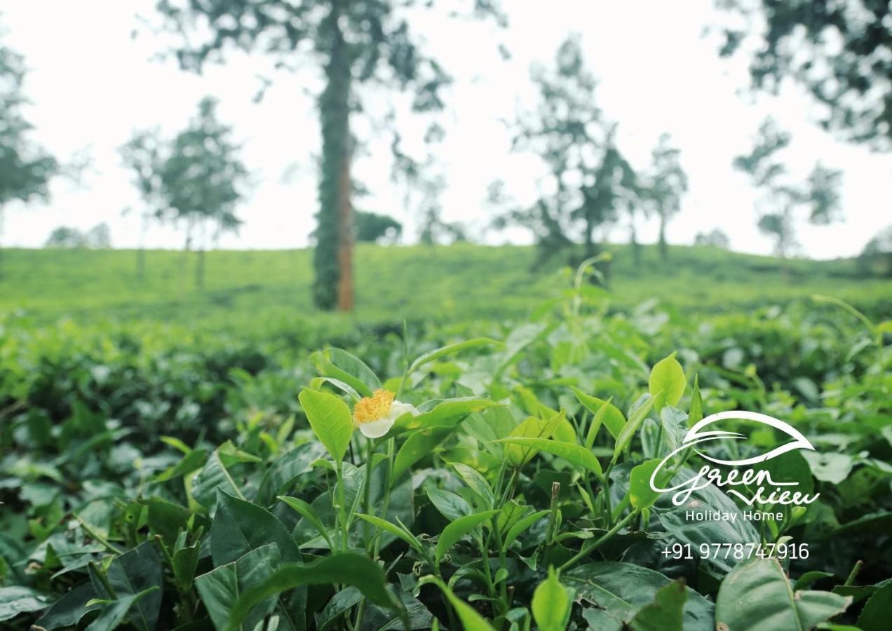 Green View Holiday Home ไวทีรี ภายนอก รูปภาพ