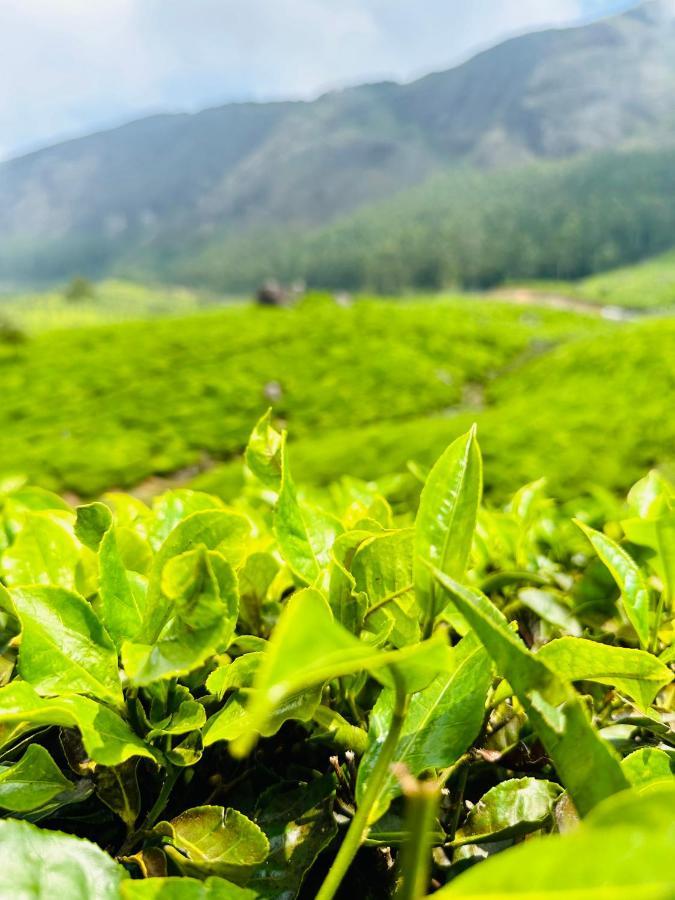 Green View Holiday Home ไวทีรี ภายนอก รูปภาพ