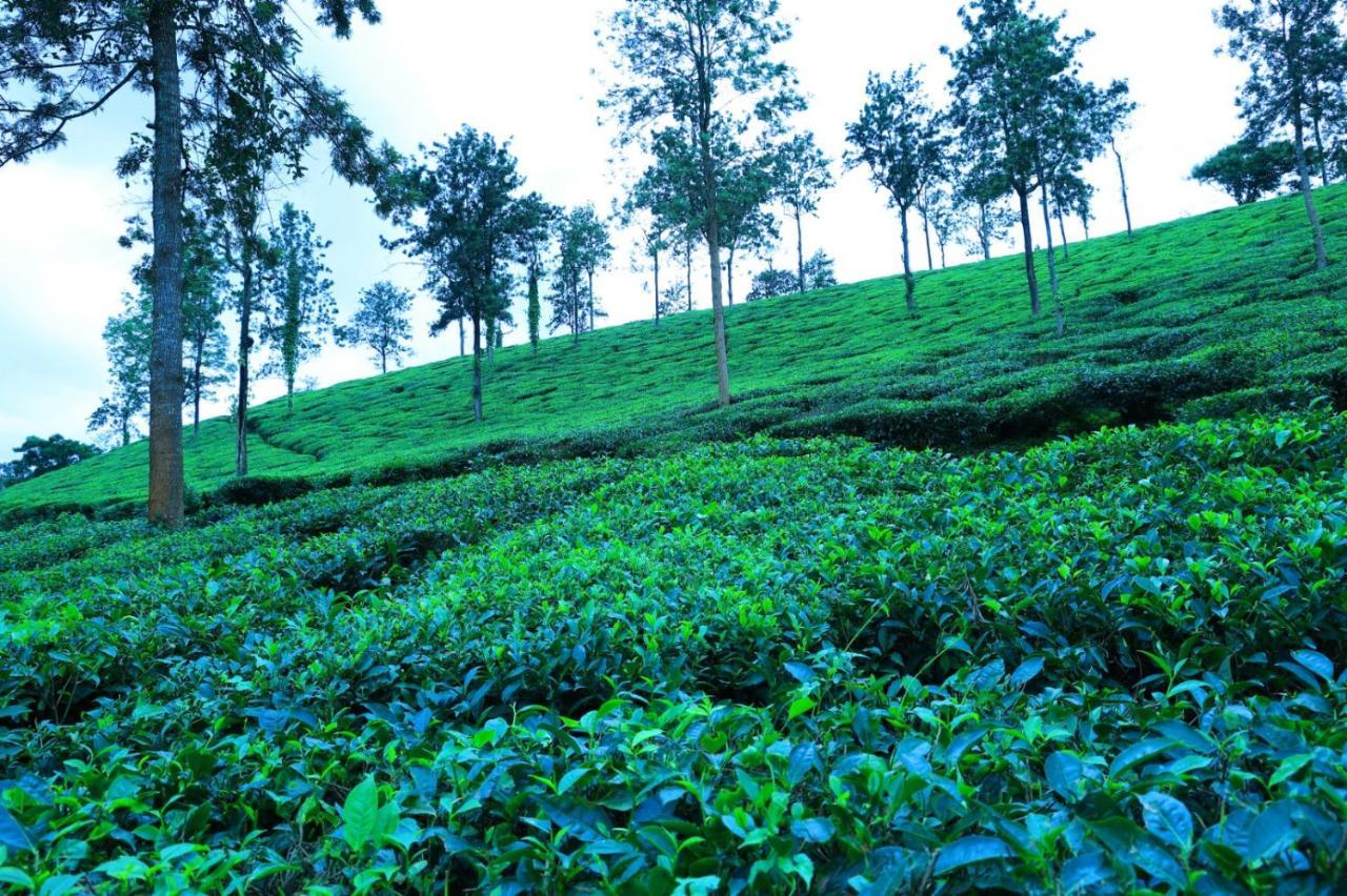 Green View Holiday Home ไวทีรี ภายนอก รูปภาพ