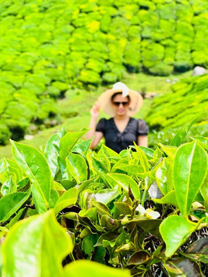 Green View Holiday Home ไวทีรี ภายนอก รูปภาพ